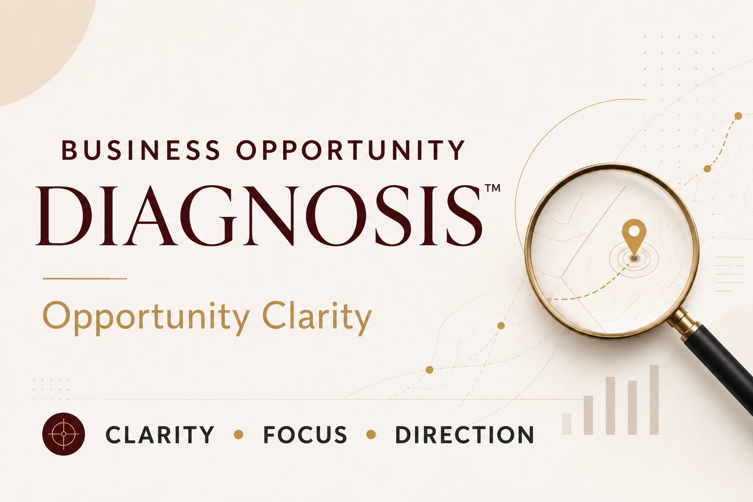 Business Diagnosis